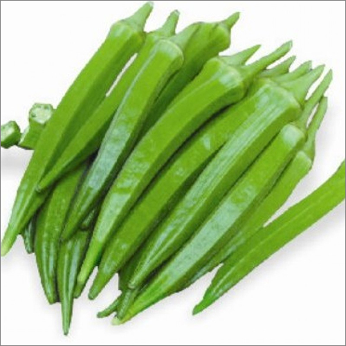 Hybrid Bhindi Sadabhar Seeds